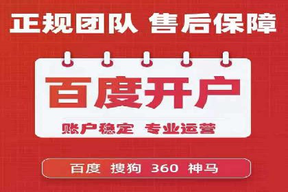 SEM运营策略案例分析